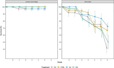 Ocean acidification and warming modify stimulatory benthos effects on sediment functioning: An experimental study on two ecosystem engineers
